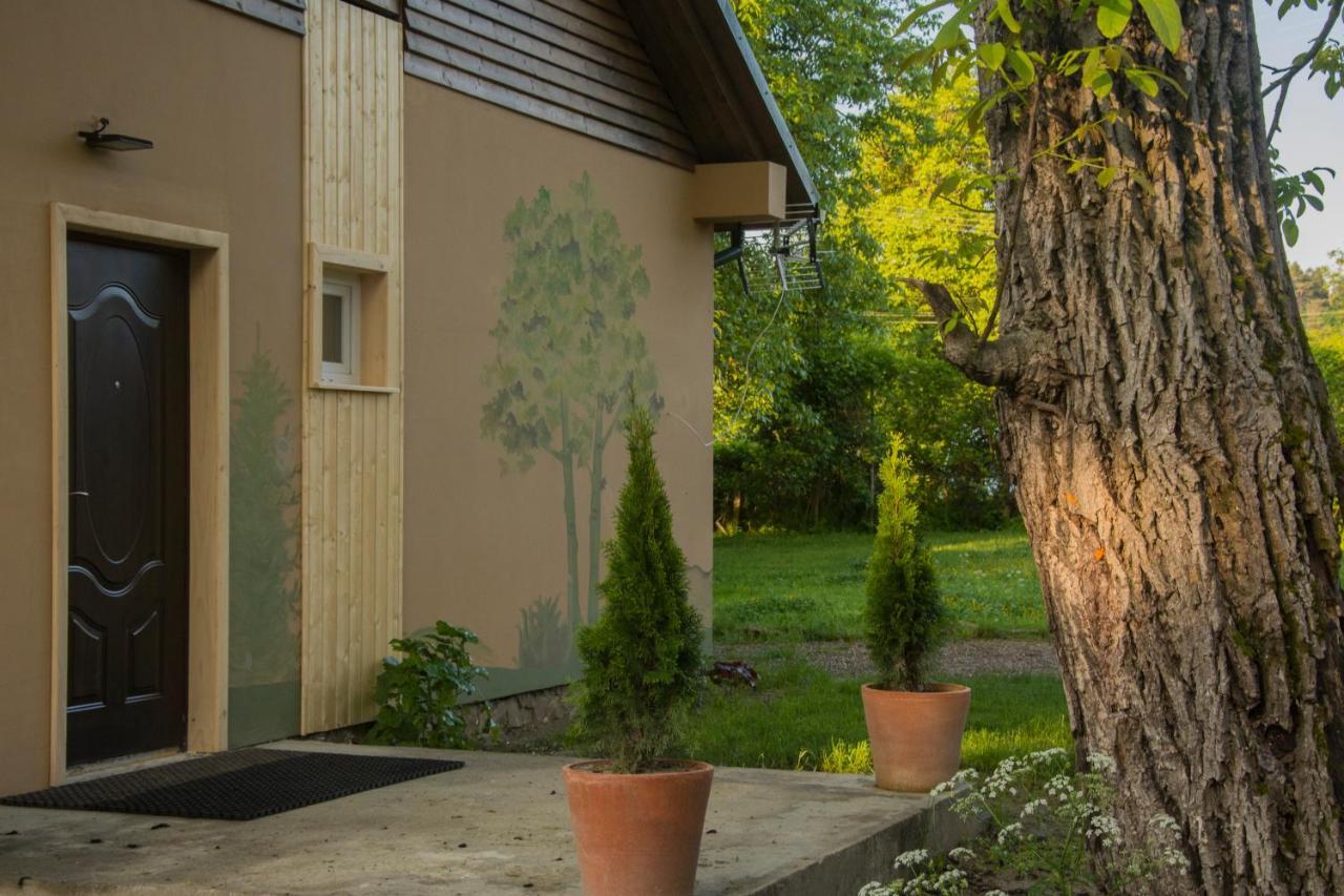 Malowane Domy Kalwaria Paclawska Extérieur photo